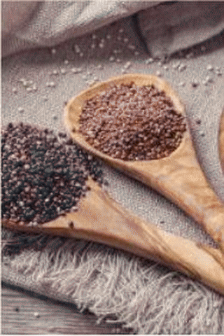 Descripción de la primera imagen